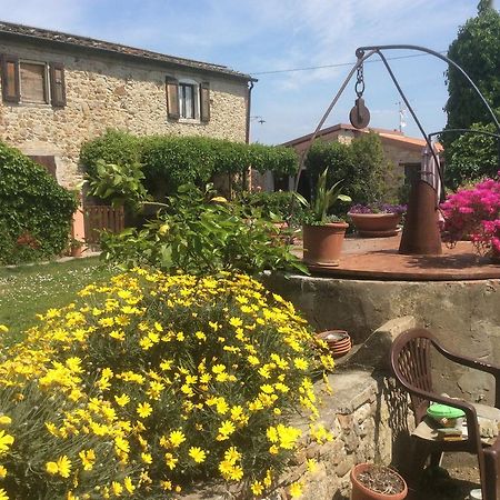 Podere Girasoli 피옴비노 외부 사진