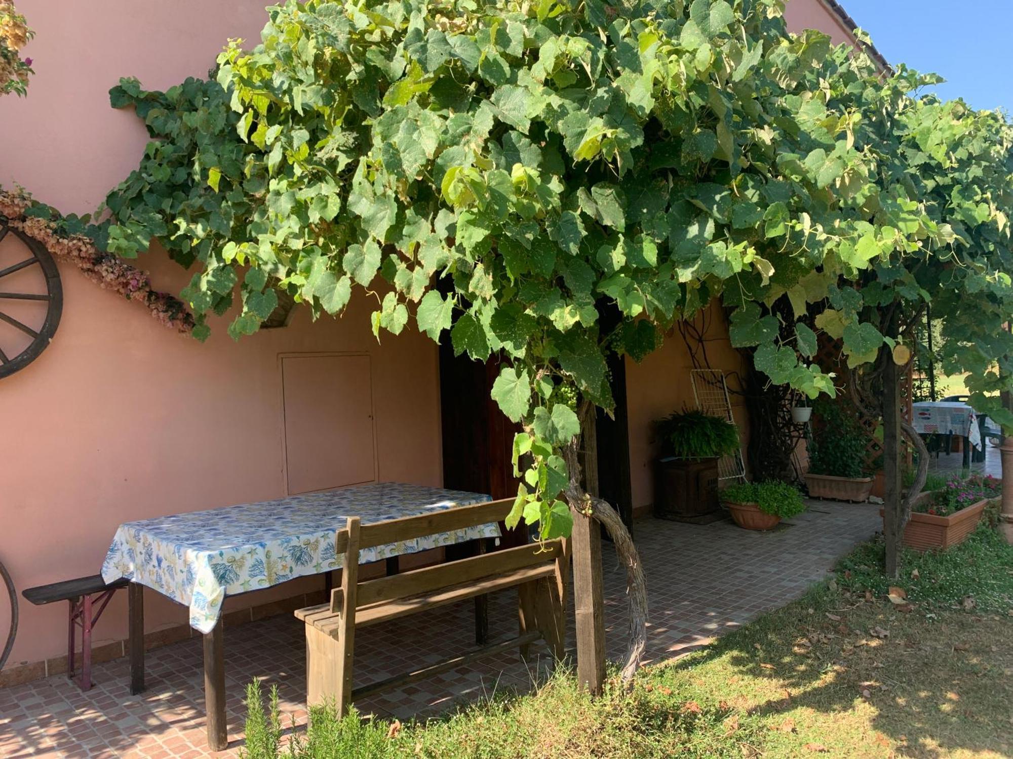 Podere Girasoli 피옴비노 외부 사진